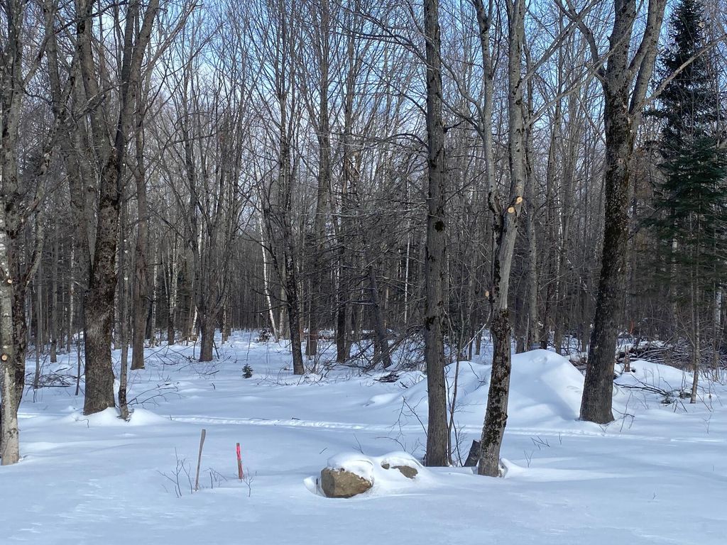 Photo of 47 Greenville Road #Lot 3, Shirley, ME 04485 (MLS # 1649621)