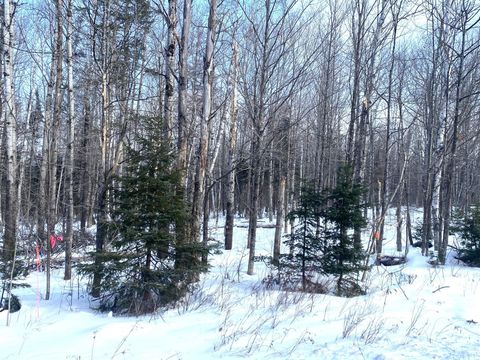 Photo of 47 Greenville Road #Lot 3, Shirley, ME 04485 (MLS # 1649621)