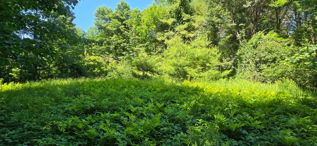 Photo of 16 Wilson Road, Gorham, ME 04038 (MLS # 1661322)