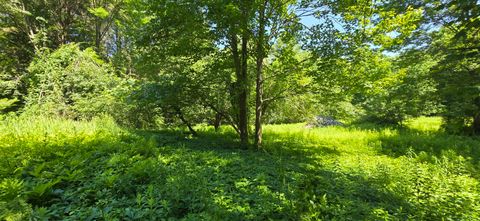 Photo of 16 Wilson Road, Gorham, ME 04038 (MLS # 1661322)
