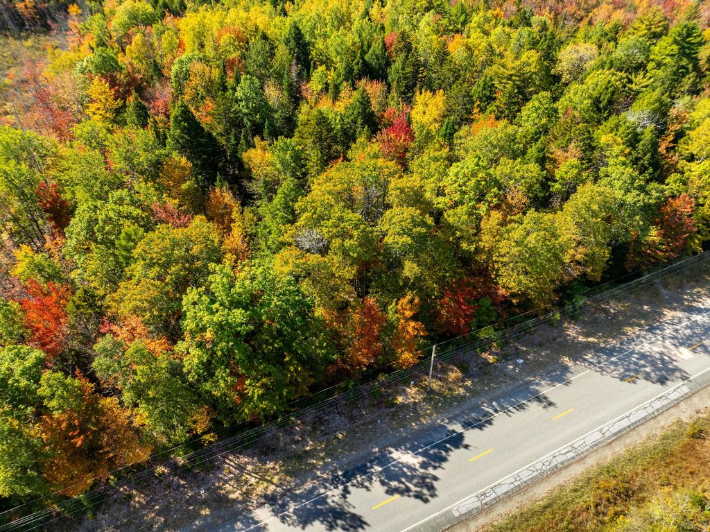 Photo of TBD 3 Acre US Rt One, Waite, ME 04492 (MLS # 1639340)