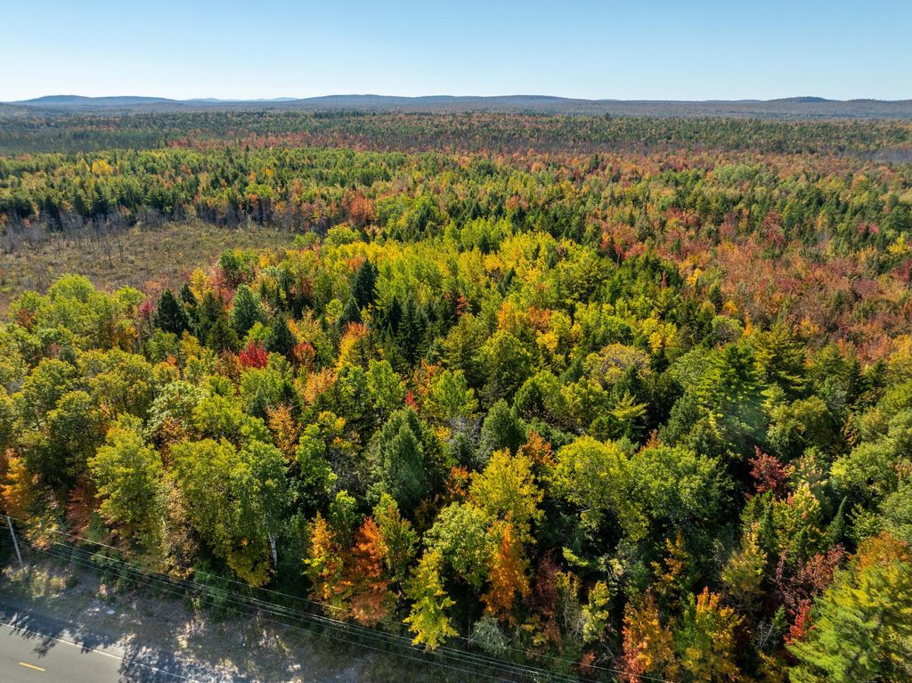 Photo of TBD 3 Acre US Rt One, Waite, ME 04492 (MLS # 1639340)