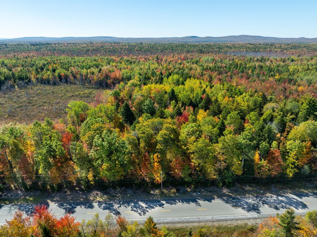Photo of TBD 3 Acre US Rt One, Waite, ME 04492 (MLS # 1639340)