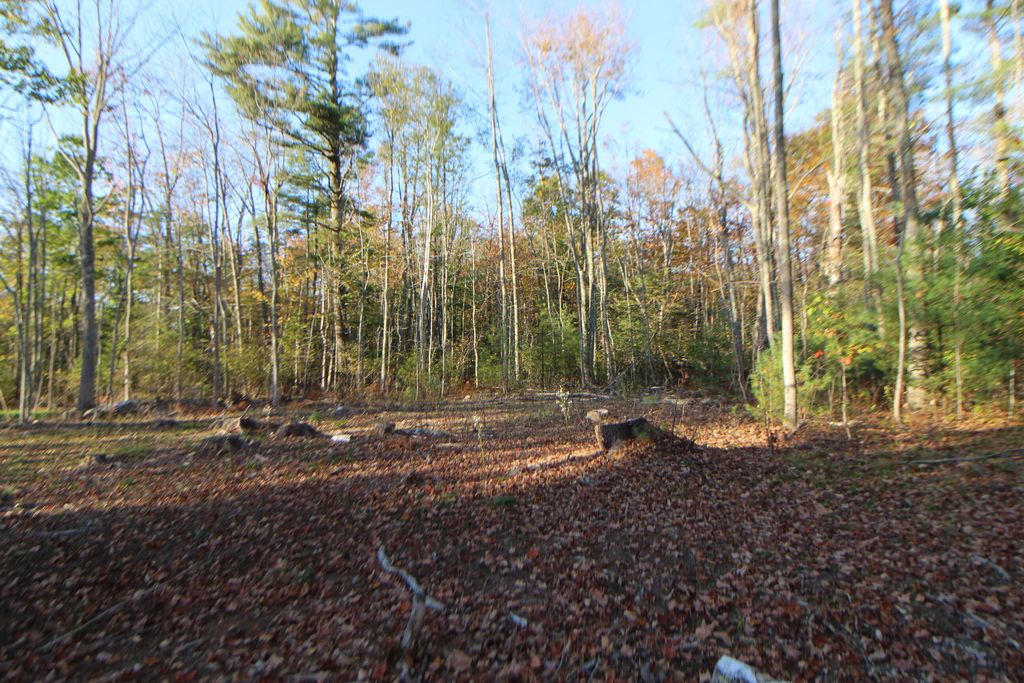 Photo of 53-03 Race Course Road, Bucksport, ME 04416 (MLS # 1640220)