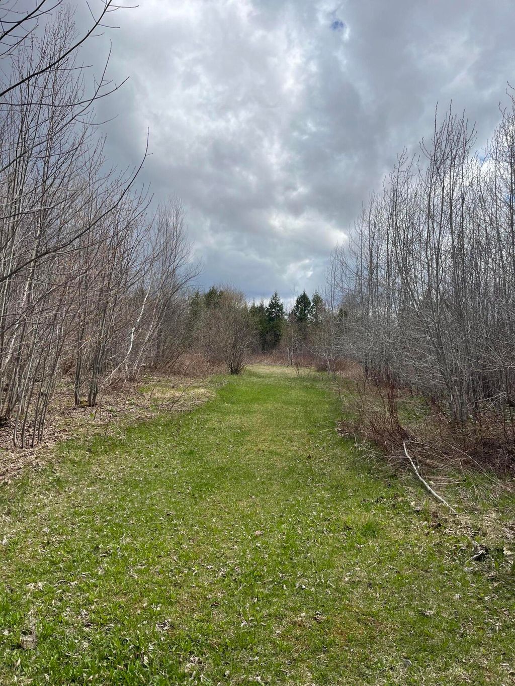 Photo of M2L12W Number 9 Road, Orient, ME 04471 (MLS # 1661491)