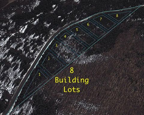 Photo of 8_Lots Blaine School Road, Fort Kent, ME 04743 (MLS # 1648824)