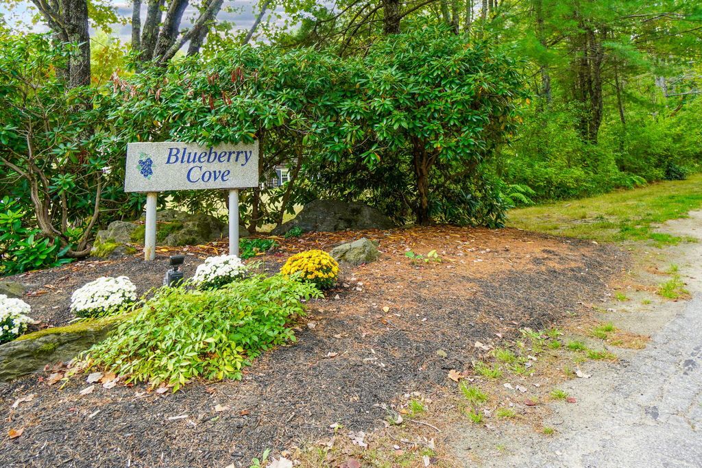 Photo of 30 Blueberry Cove #30, Yarmouth, ME 04096 (MLS # 1638160)