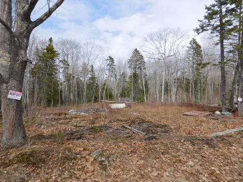 Photo of Lot # 0 Beech Hill Road, Northport, ME 04849 (MLS # 1658670)