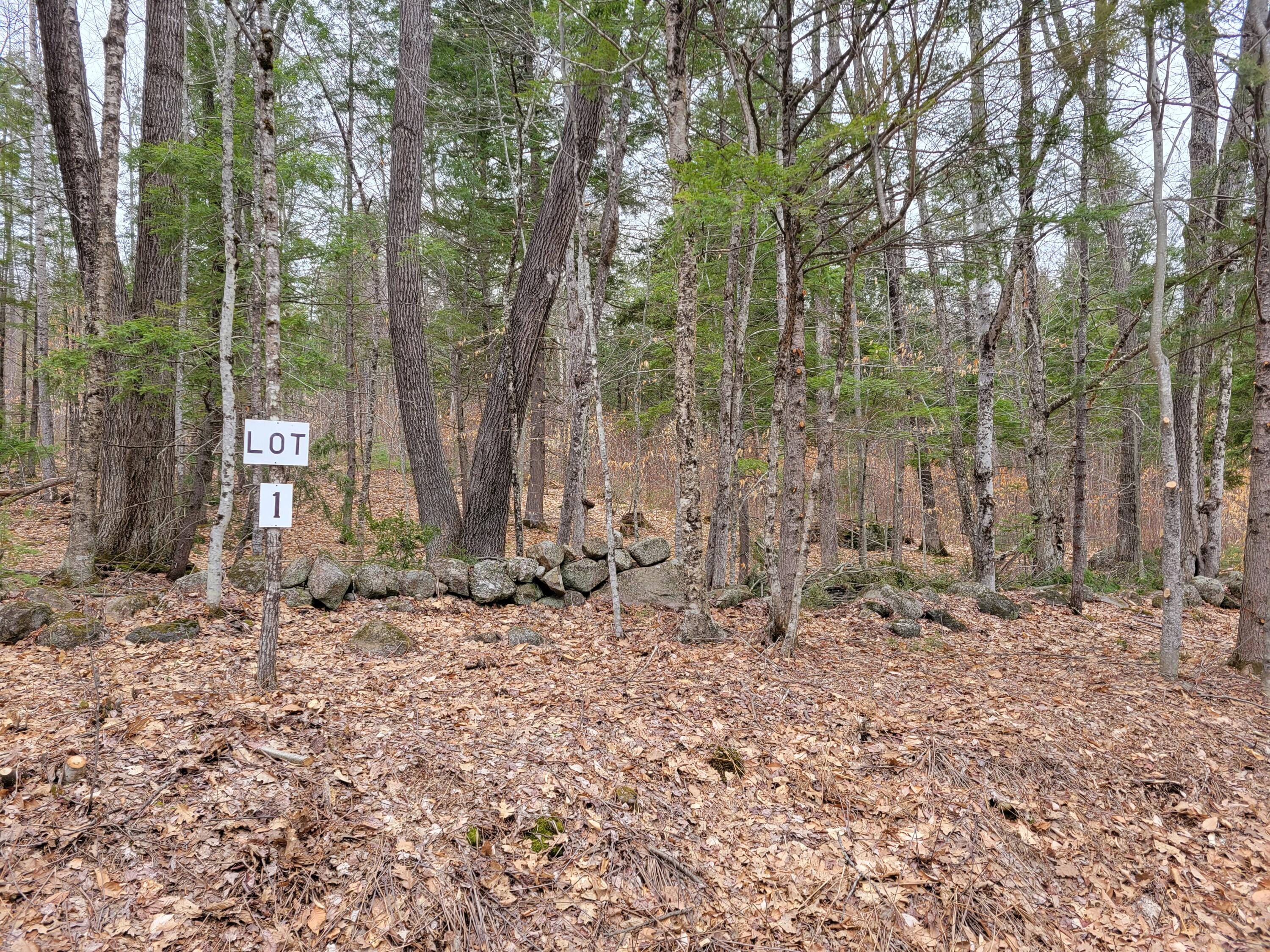 Lot #1 W West Fryeburg Road