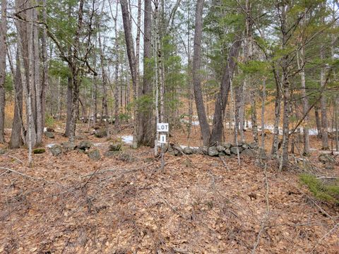 Photo of Lot #1 W West Fryeburg Road, Fryeburg, ME 04037 (MLS # 1655223)