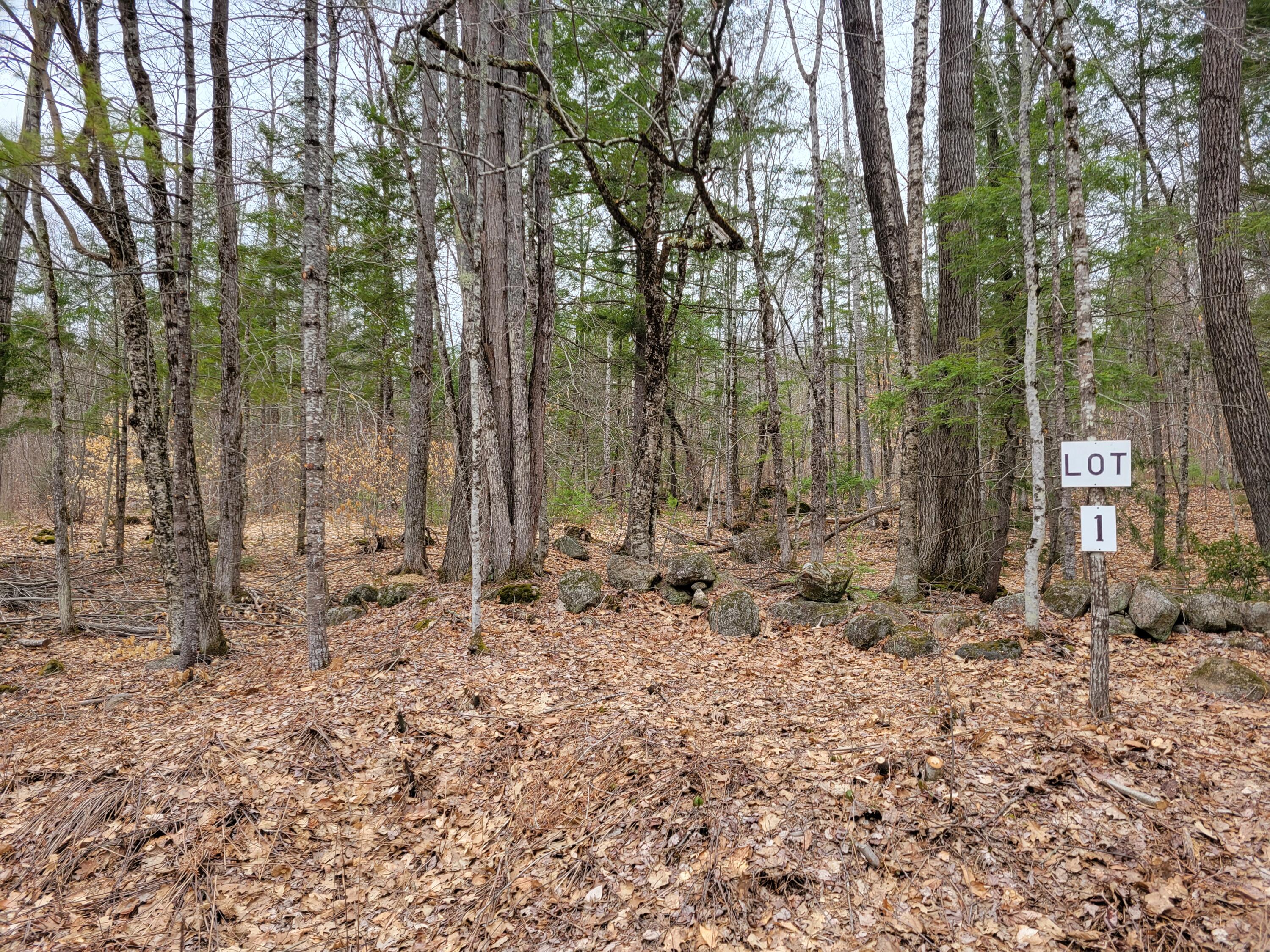 Lot #1 W West Fryeburg Road