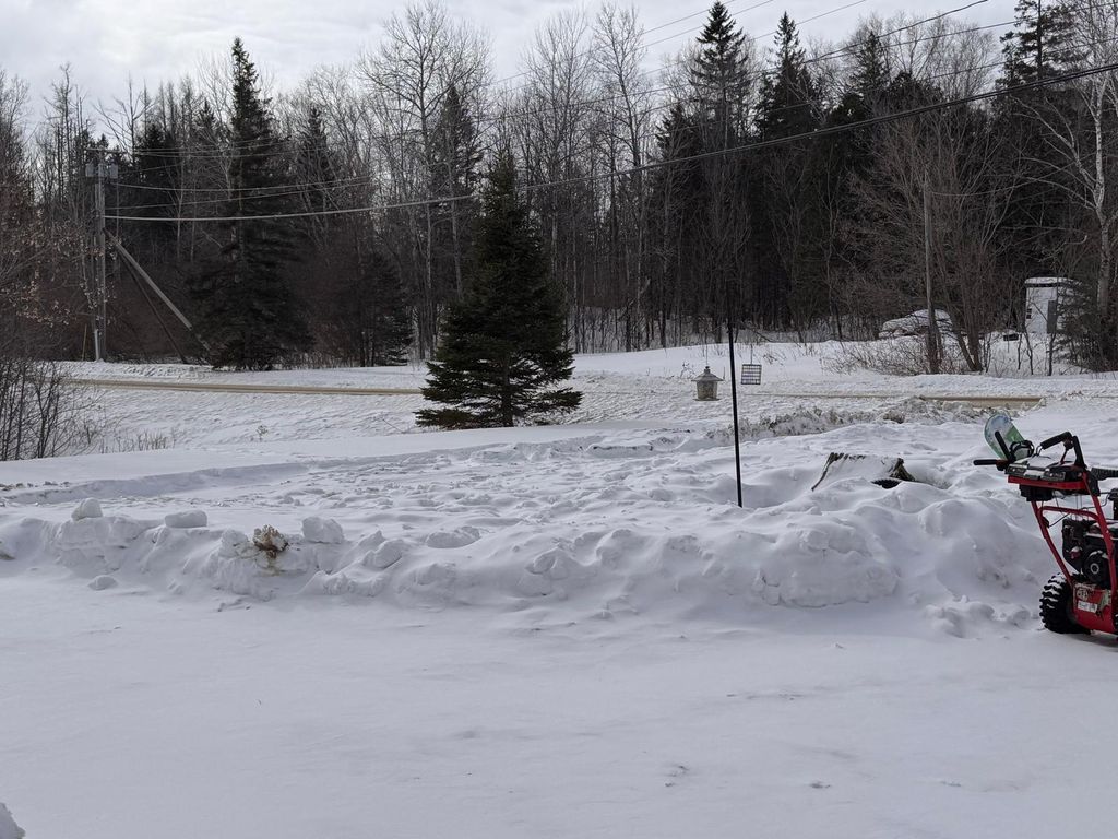 Photo of 112 Robinson Road, Blaine, ME 04734 (MLS # 1652816)