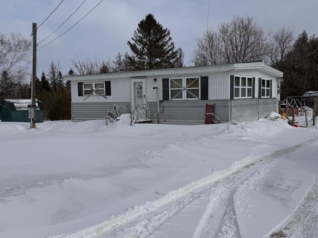 Photo of 112 Robinson Road, Blaine, ME 04734 (MLS # 1652816)