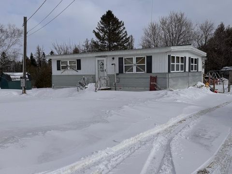 Photo of 112 Robinson Road, Blaine, ME 04734 (MLS # 1652816)