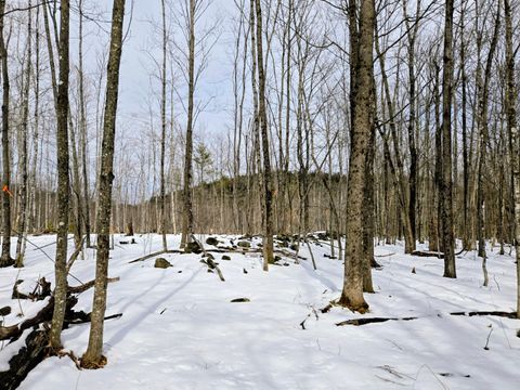 Lot 26 Canton Mountain Road Jay ME 04239