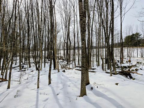 Photo of Lot 26 Canton Mountain Road, Jay, ME 04239 (MLS # 1655624)