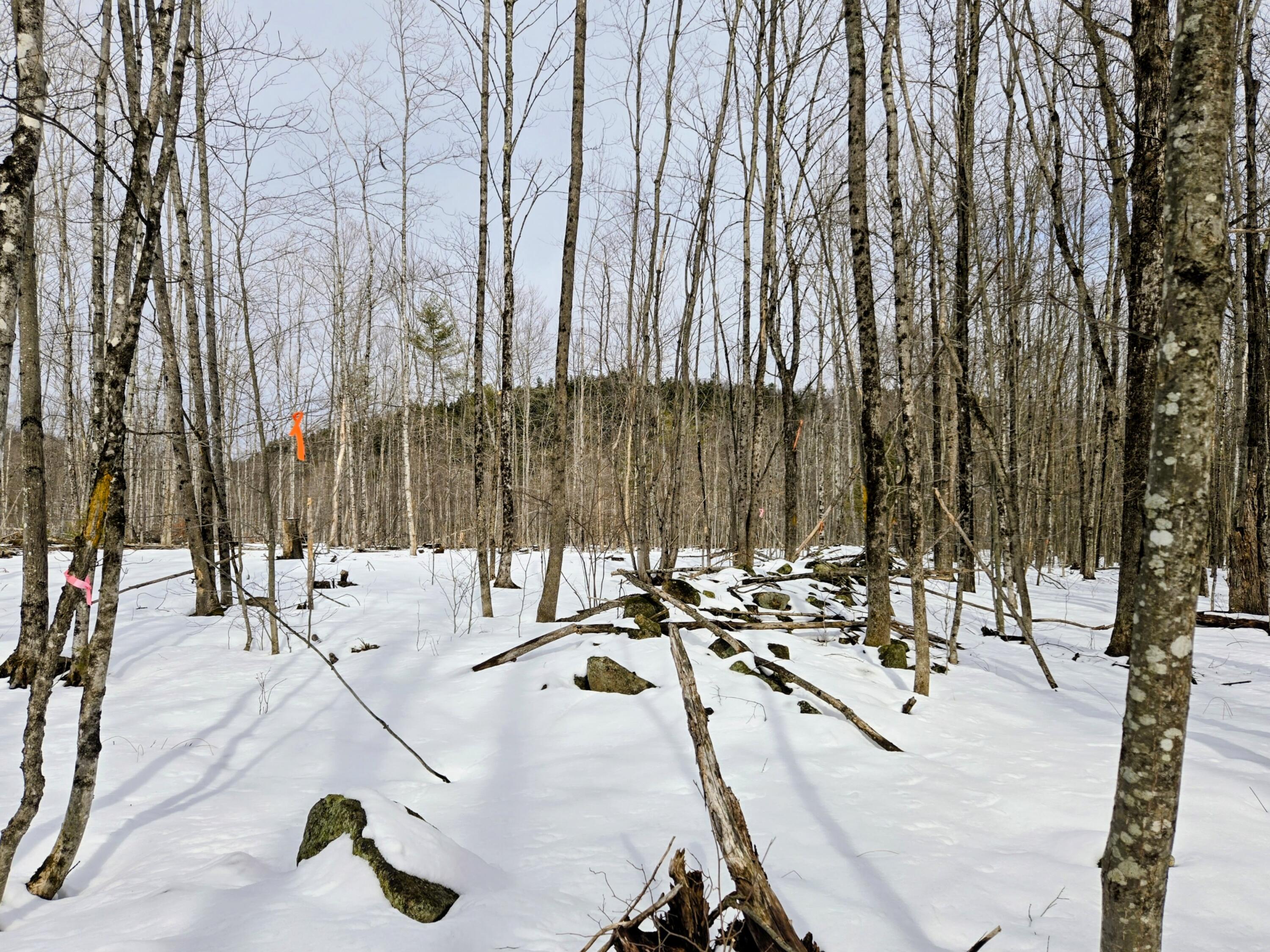 Lot 26 Canton Mountain Road