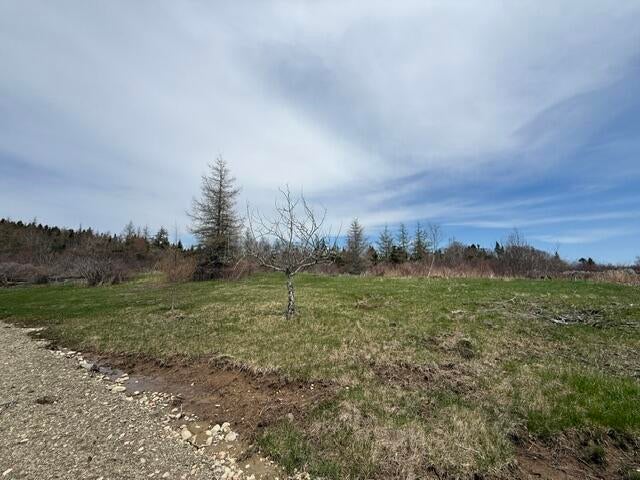 Photo of Lot 3 Holmes Bay Farms Road, Whiting, ME 04691 (MLS # 1662558)