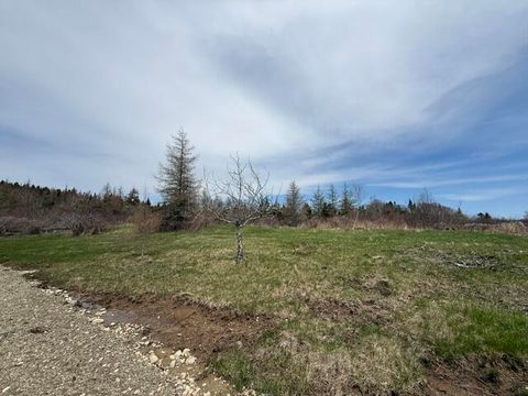 Photo of Lot 3 Holmes Bay Farms Road, Whiting, ME 04691 (MLS # 1662558)