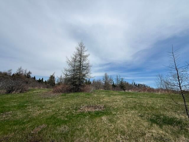 Photo of Lot 3 Holmes Bay Farms Road, Whiting, ME 04691 (MLS # 1662558)