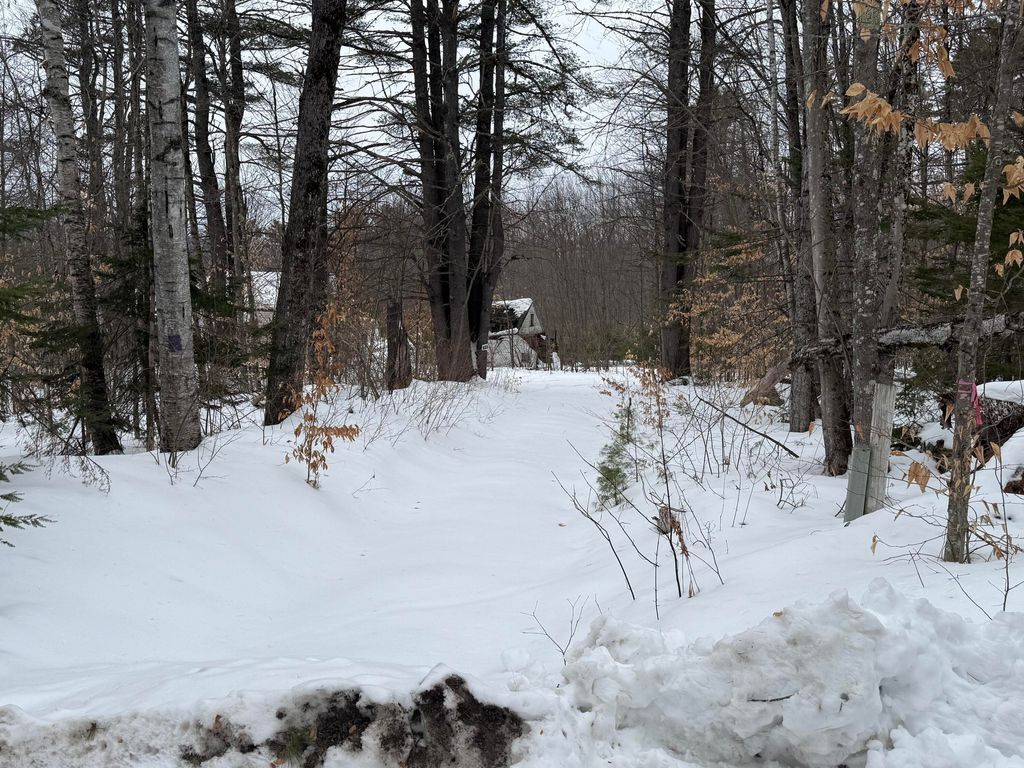 Photo of 104 Hartman Road, Lovell, ME 04051 (MLS # 1652641)