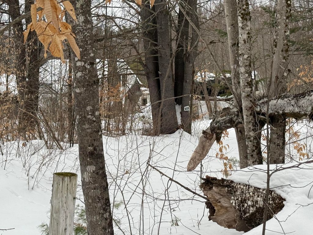 Photo of 104 Hartman Road, Lovell, ME 04051 (MLS # 1652641)