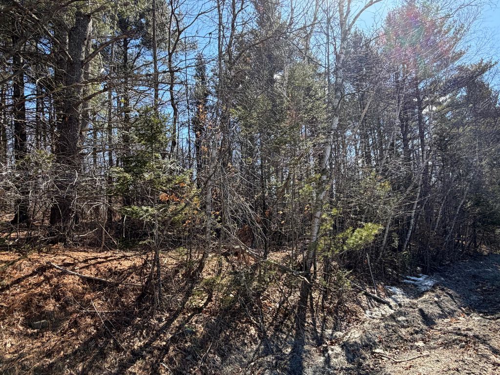 Photo of Map 10 Lot 11 Finson Road, Saint Albans, ME 04971 (MLS # 1654245)