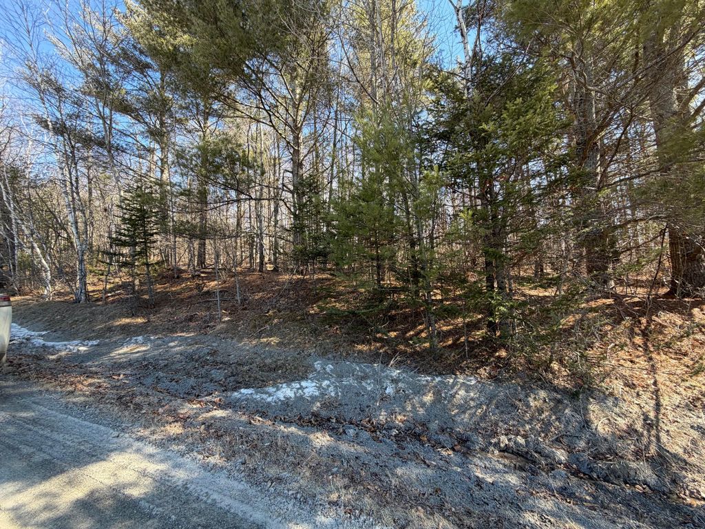 Photo of Map 10 Lot 11 Finson Road, Saint Albans, ME 04971 (MLS # 1654245)
