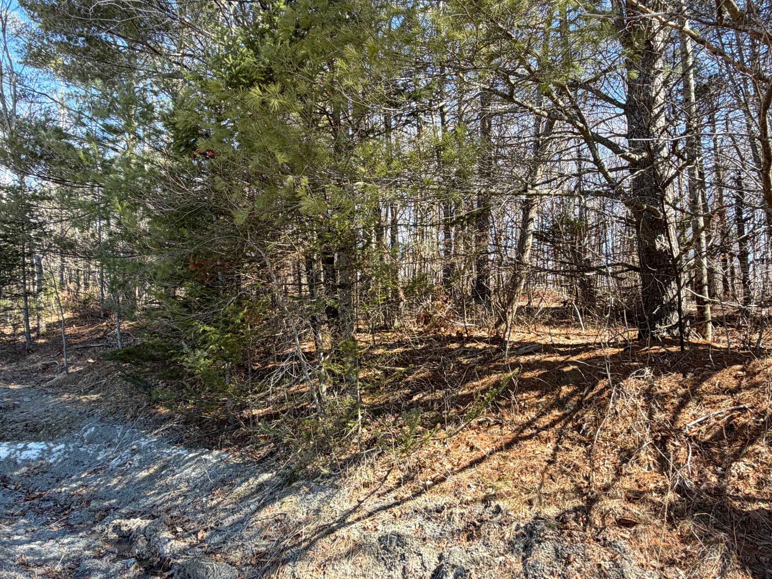 Map 10 Lot 11 Finson Road