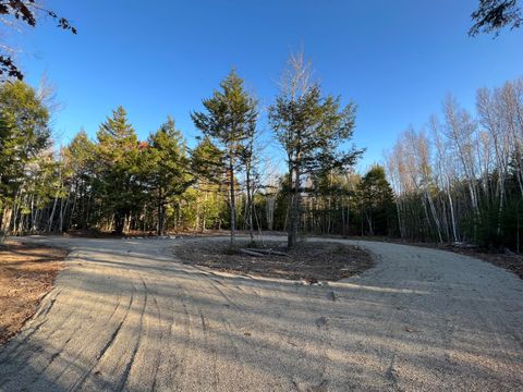 Photo of 15 Coyote Lane, Waltham, ME 04605 (MLS # 1655114)