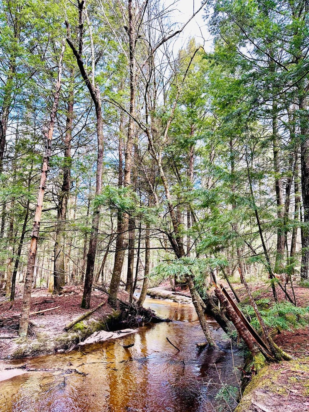 Photo of 50 McCarthy Road, New Gloucester, ME 04260 (MLS # 1640260)