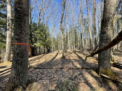 Photo of 163A Highland Cliff Road, Windham, ME 04062 (MLS # 1618734)
