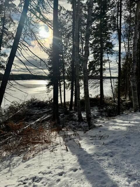 Photo of 00 Red River Road, Winterville Plt, ME 04739 (MLS # 1648636)
