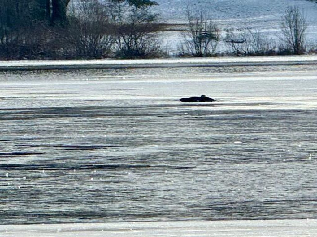 Photo of 00 Red River Road, Winterville Plt, ME 04739 (MLS # 1648636)