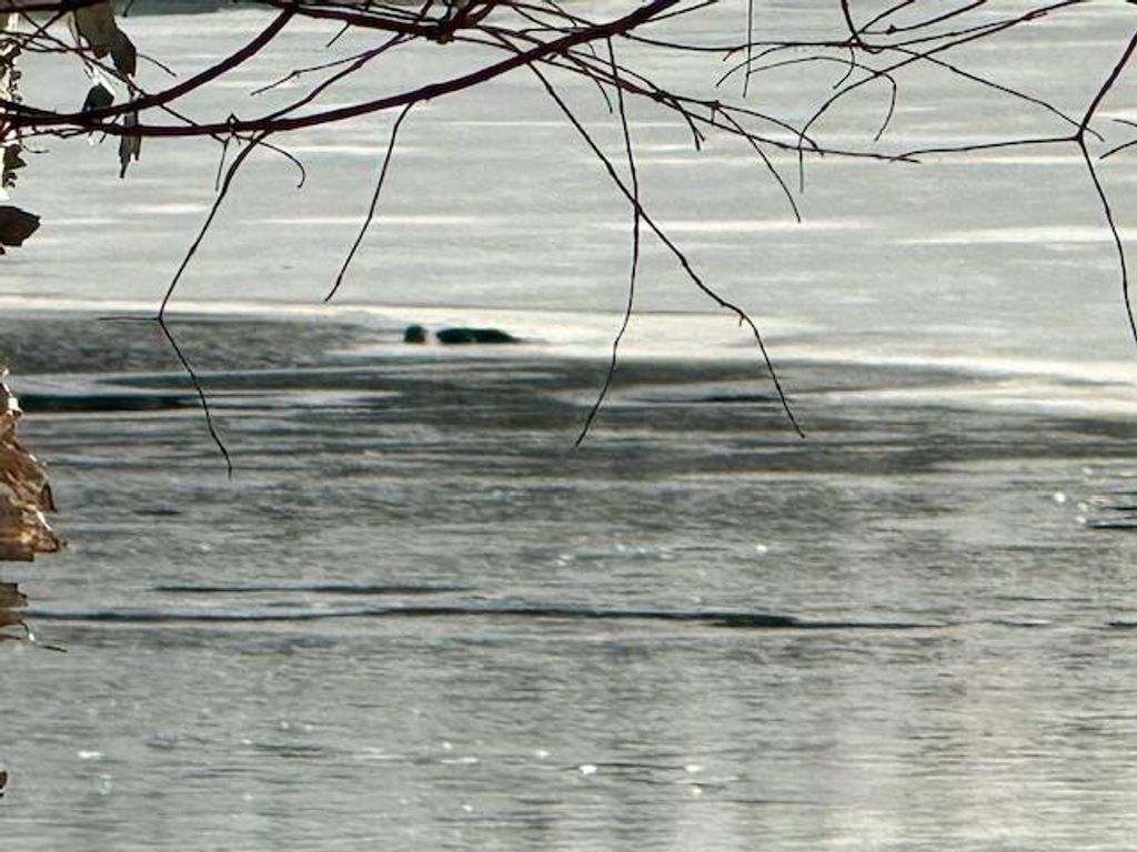 Photo of 00 Red River Road, Winterville Plt, ME 04739 (MLS # 1648636)