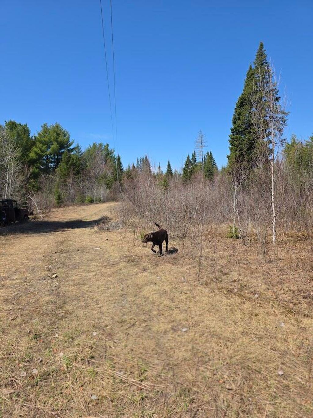 Photo of 131 A River Road, Oakfield, ME 04763 (MLS # 1660508)
