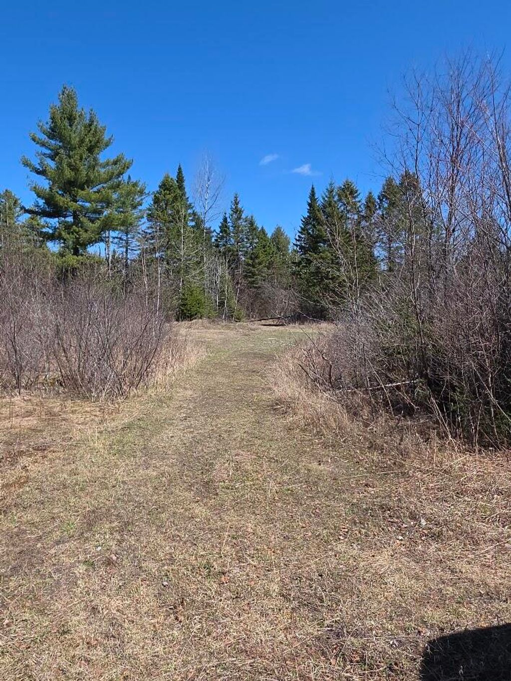 Photo of 131 A River Road, Oakfield, ME 04763 (MLS # 1660508)