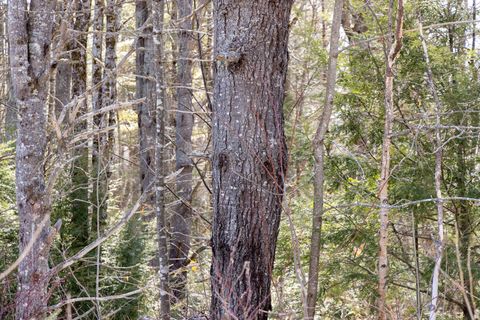 Photo of M4L38&39 West Old Main Road, Lowell, ME 04493 (MLS # 1654362)