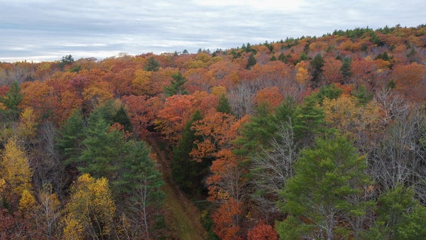 DODGE RD, DRESDEN, ME 04342 - Image f4be366f29953b11e2dcc9d0bfb9a206/1881643240