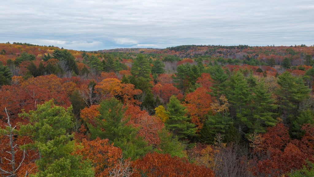 Photo of Lot 57B Dodge Road, Dresden, ME 04342 (MLS # 1642162)