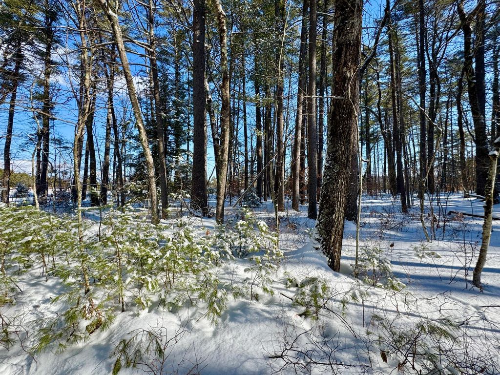 Photo of TBD Swans Falls Road #Lot A, Fryeburg, ME 04037 (MLS # 1650199)