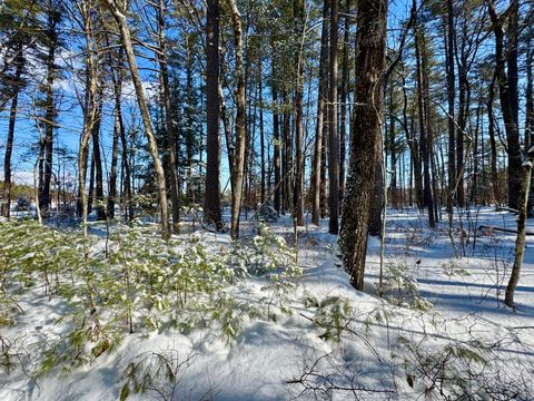 Photo of TBD Swans Falls Road #Lot A, Fryeburg, ME 04037 (MLS # 1650199)