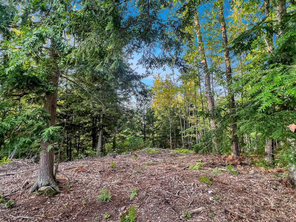 Photo of 10 Wilderness Way, Turner, ME 04282 (MLS # 1573320)