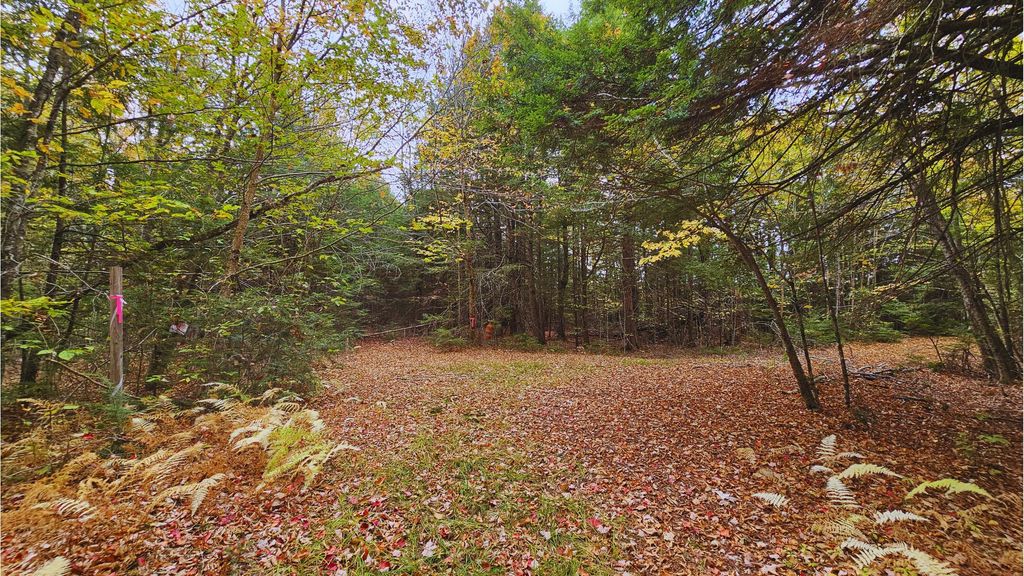 Photo of 009-007 Lilly Drive, Newport, ME 04953 (MLS # 1641307)