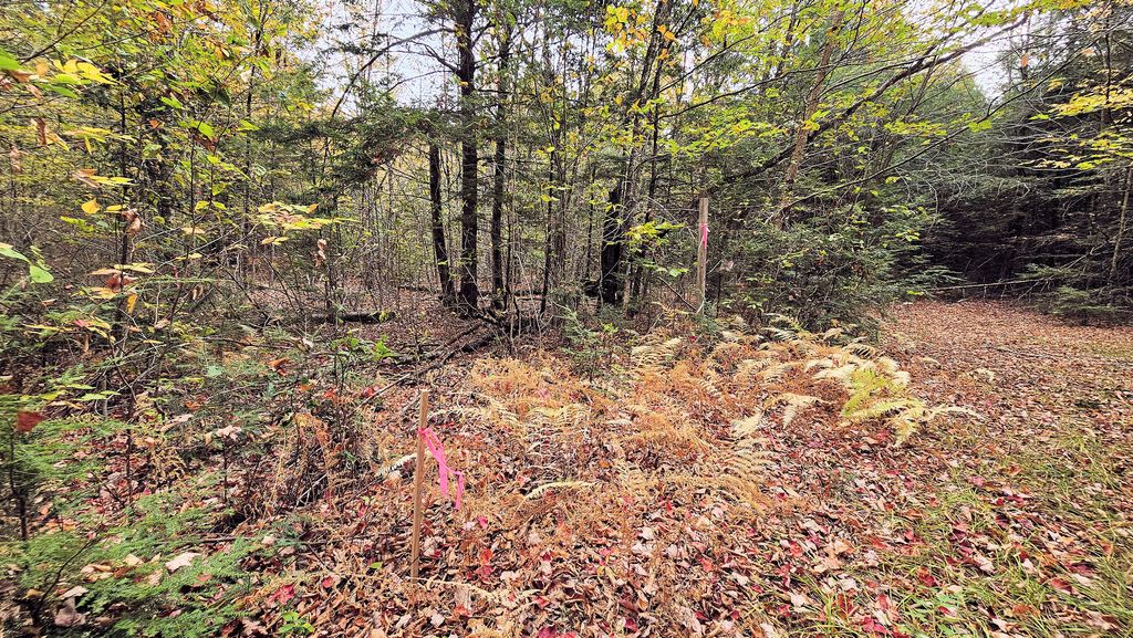 Photo of 009-007 Lilly Drive, Newport, ME 04953 (MLS # 1641307)
