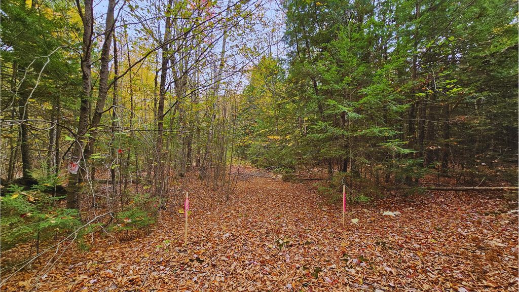 Photo of 009-007 Lilly Drive, Newport, ME 04953 (MLS # 1641307)