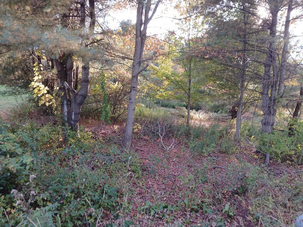 Photo of 45A-A Hornbeck Cross, Bowdoinham, ME 04008 (MLS # 1639310)