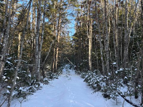 Photo of M11L17 Rogers Point Road, Steuben, ME 04680 (MLS # 1647615)