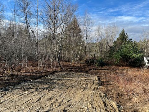 Photo of 207 Gray Meadow Road, Orland, ME 04472 (MLS # 1657685)