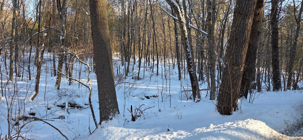 Photo of M14 L23A Ferry Road, Orrington, ME 04474 (MLS # 1650227)